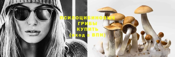бутик Дмитриев