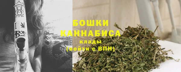 ПСИЛОЦИБИНОВЫЕ ГРИБЫ Гусев