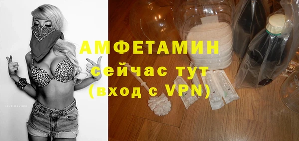 мдпв Дмитровск
